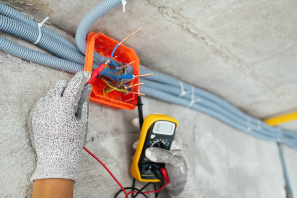 Best Electric Panel Repair  in Caledonia, WI
